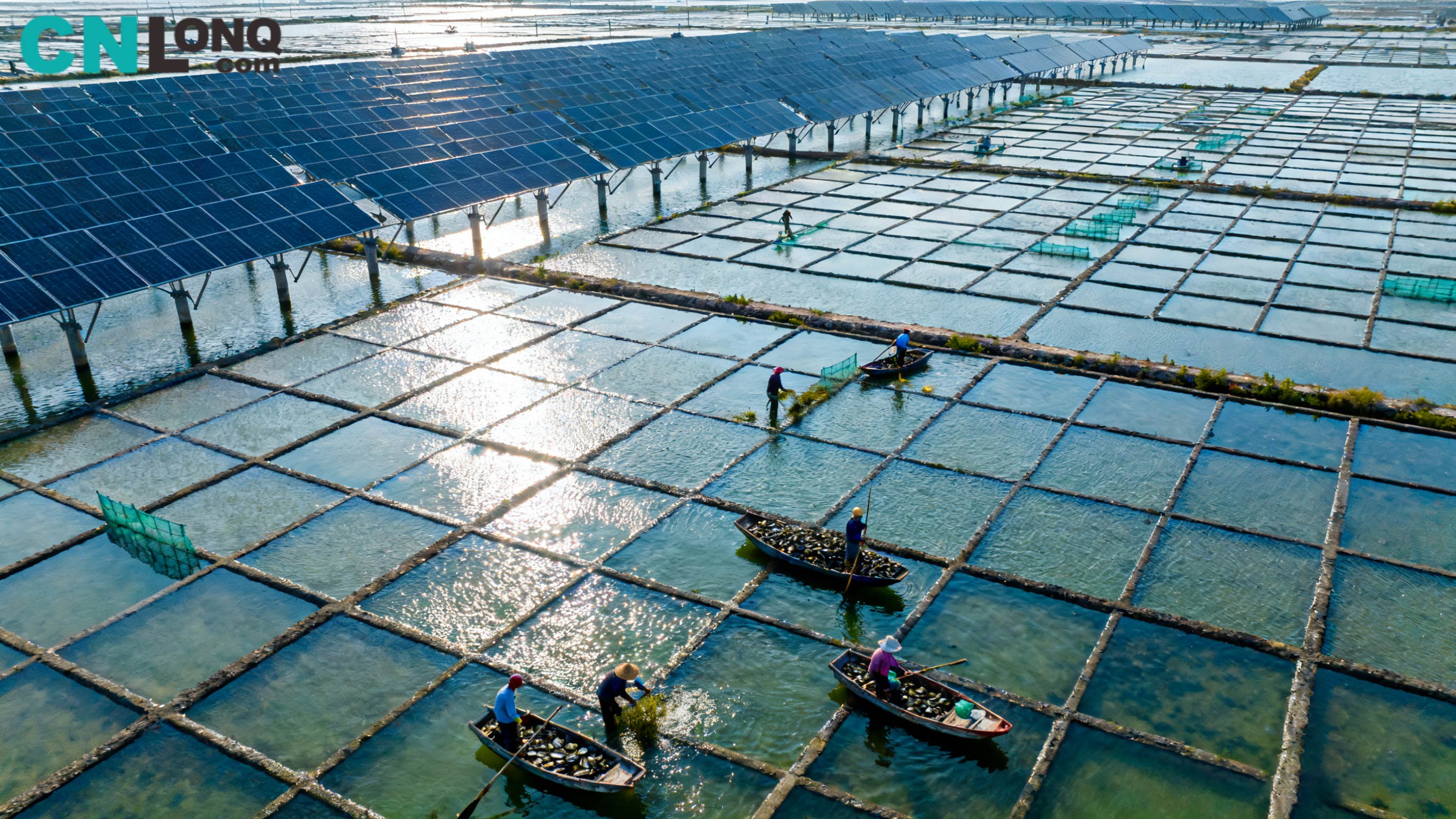 Жалпы инвестициялар 1,2 млрд. Синдао Цинку тұз кен орны 250 МВт «Балық аулау күнін толықтырады» жобасы